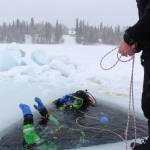 Stephen Robertson, left, and T.J. Cox, center, resurface after a 20-minute ice dive on Island Lake in Nikiski, Alaska on March 21, 2020. Tony Gillham, right, tends the rope line as they resurface. (Photo by Brian Mazurek/Peninsula Clarion)