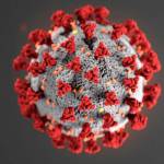 2 COVID-19 cases reported on central peninsula