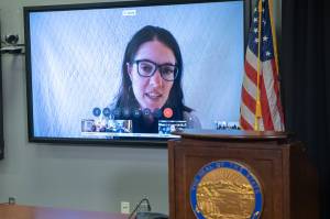 Chief Medical Officer Dr. Anne Zink participates via teleconference in the states daily press briefing on the new coronavirus on Monday, March 30, 2020. (Courtesy photo)