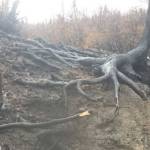 Swan Lake Fire trails update