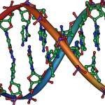 Opinion: Narcissism is in our DNA