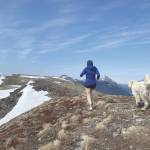 A completely normal scene at the top of Slaughter Ridge in Cooper Landing. (Photo provided by Kat Sorensen)
