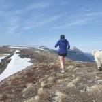 Tangled Up in Blue: AM/FM