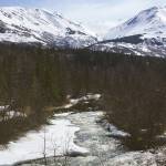 Out of the office: Summer arrives