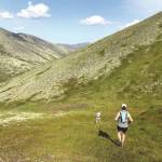 Tangled Up in Blue: In the long run