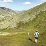 Tangled Up in Blue: In the long run