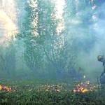 Alaska Division of Forestry                                 A member of the Gannet Glacier Type 2 Initial Attack Crew uses a drip torch during a burnout operation at the Swan Lake Fire on June 18.