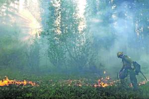 Alaska Division of Forestry                                 A member of the Gannet Glacier Type 2 Initial Attack Crew uses a drip torch during a burnout operation at the Swan Lake Fire on June 18.