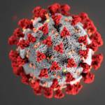 COVID-19. (Image courtesy the CDC)