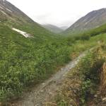 Jeff Helminiak / Peninsula Clarion                                 The Devils Creek Trail in Chugach National Forest in June 2018. (Photo by Jeff Helminiak / Peninsula Clarion)