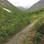 The Devils Creek Trail in Chugach National Forest, seen June 15, 2018. (Photo by Jeff Helminiak/Peninsula Clarion)