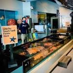 The Alaska SeaLife Centers touch tank can be seen here in this undated photo in Seward, Alaska, and an ASLC staff member can be seen wearing a mask as part of their current health and safety protocols. (Photo courtesy Alaska SeaLife Center)