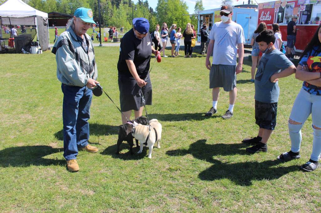 Two pugs – Daisy Mae, left, and Bronco, right, say hello to each other during the Wednesday Market at Soldotna Creek Park in Soldotna, Alaska on June 10, 2020. Also seen, from left, James J-Dub Darby, Nila Sanchez, Alex Koch, Logan Amaya and Alexa Menzel (Photo by Brian Mazurek/Peninsula Clarion)