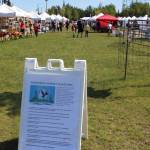 A sign detailing modified health protocols for the Wednesday Market is seen here at Soldotna Creek Park in Soldotna, Alaska on June 10, 2020. (Photo by Brian Mazurek/Peninsula Clarion)