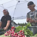 Jeff Helminiak/Peninsula Clarion                                Noah and Eddie Land of Grace Acres Farm in Kasilof set out produce Tuesday at the Farmers Fresh Market at Kenai Peninsula Food Bank.