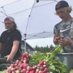 Noah and Eddie Land of Grace Acres Farm in Kasilof set out produce Tuesday, July 7, 2020, at the Farmers Fresh Market at Kenai Peninsula Food Bank. (Photo by Jeff Helminiak/Peninsula Clarion)