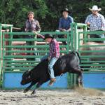 A youth rider takes a turn riding a bull calf during the 60th annual Ninilchik Rodeo on Saturday, July 4, 2020 at the Kenai Peninsula Fairgrounds in Ninilchik, Alaska. The rodeo lasted throughout the July Fourth holiday and celebrated a return to the events roots. (Photo by Megan Pacer/Homer News)