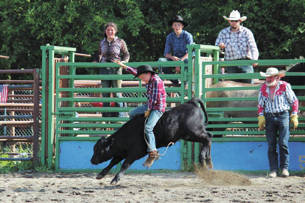 A youth rider takes a turn riding a bull calf during the 60th annual Ninilchik Rodeo on Saturday, July 4, 2020 at the Kenai Peninsula Fairgrounds in Ninilchik, Alaska. The rodeo lasted throughout the July Fourth holiday and celebrated a return to the events roots. (Photo by Megan Pacer/Homer News)