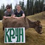 Cassy Rankin/Kenai Peninsula District 4-H                                 Parker Rose and Kendra Rose, members of the Sterling Horse and Livestock 4-H Club, pose with their miniature donkey on April 23.