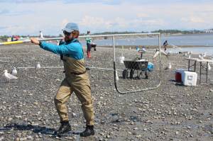 Shawn Dick of Talkneetna carries a fresh catch out of the water while dipnetting on the Kenai Beach on July 10, 2020. (Photo by Brian Mazurek/Peninsula Clarion)