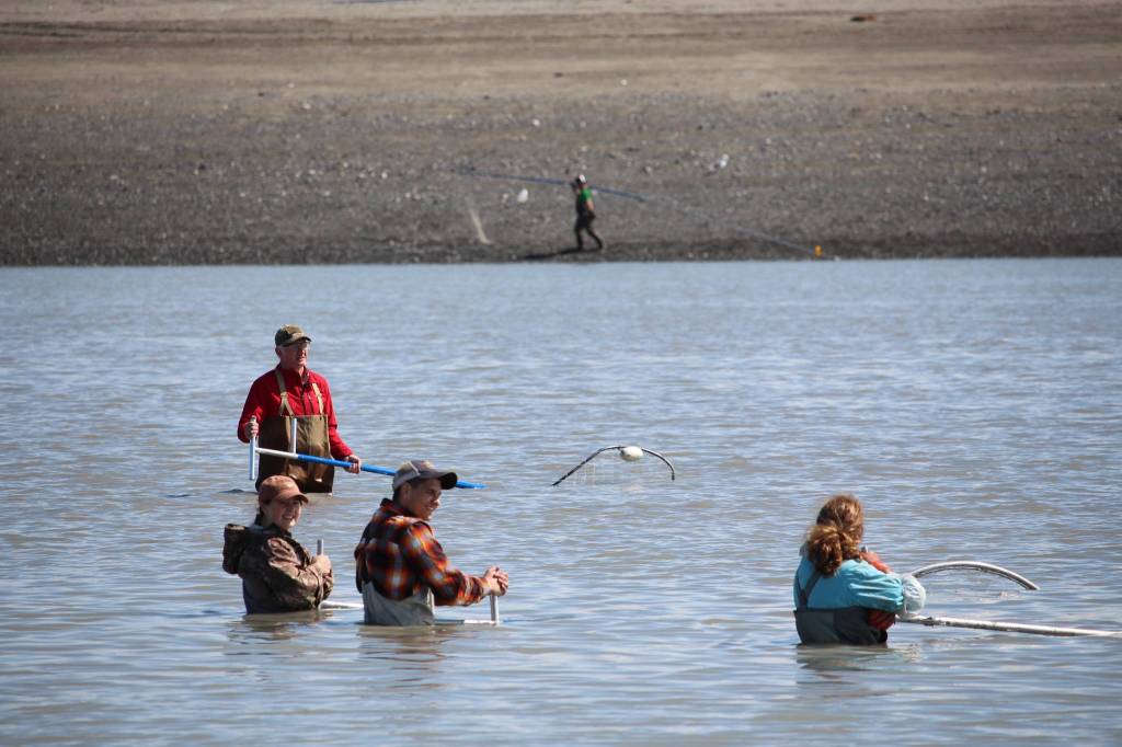 Dipnetters can be seen here fishing in the Kenai River on July 10, 2020. (Photo by Brian Mazurek/Peninsula Clarion)