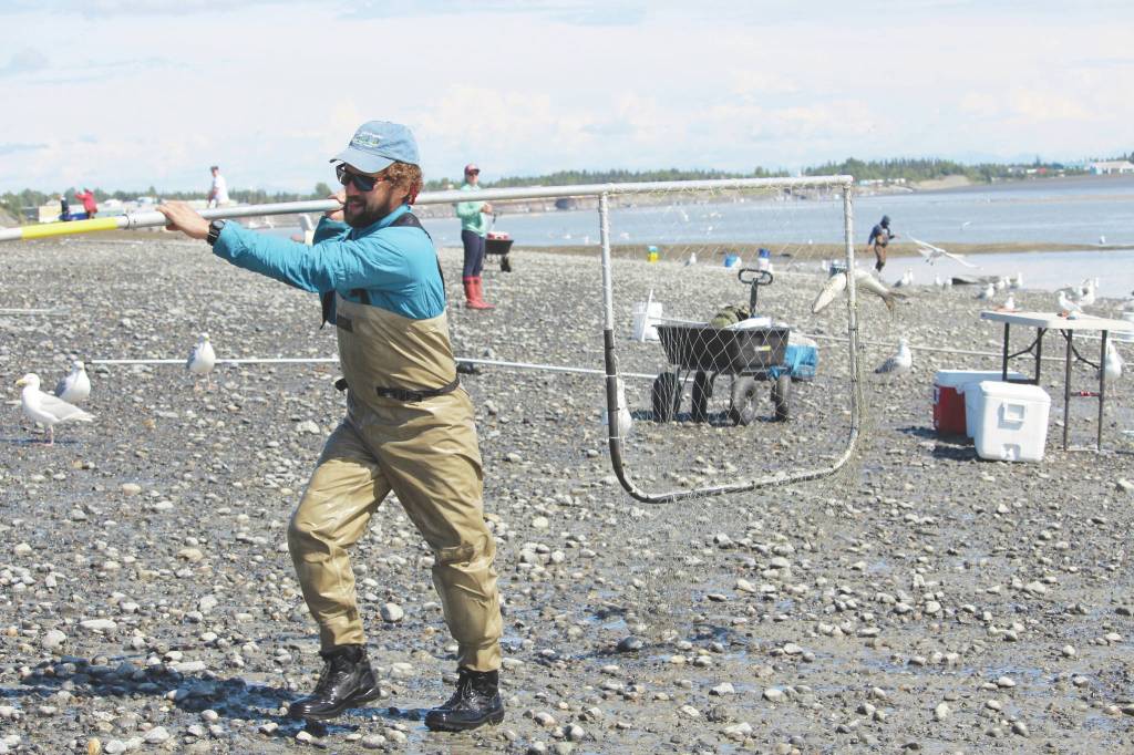Brian Mazurek / Peninsula Clarion                                Shawn Dick of Talkneetna carries a fresh catch out of the water while dipnetting on the Kenai Beach on Friday.