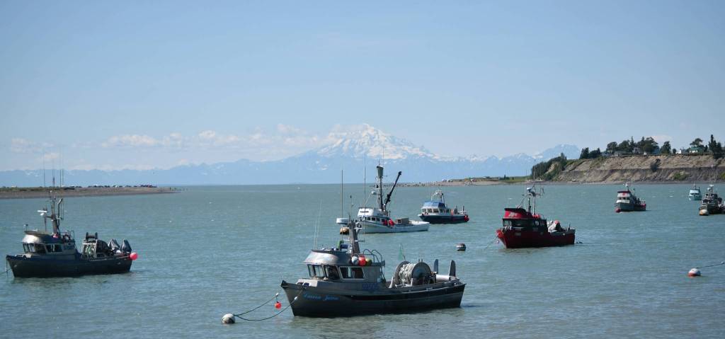 The commercial fishing fleet is seen from Pacific Star Seafoods in Kenai on Tuesday.