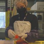 Jeff Helminiak/Peninsula Clarion                                 Eliana Esparza, of California, prepares to salt roe Tuesday at Pacific Star Seafoods in Kenai.