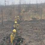 A fire crew can be seen here at a containment line for the Swan Lake Fire in this undated photo. (Courtesy Kenai Peninsula Borough Office of Emergency Management)