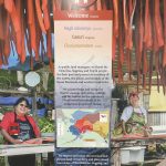 Part of a newly installed interagency public lands display is seen Monday, Aug. 3, 2020, in the Kenai Municipal Airport in Kenai, Alaska. (Photo by Jeff Helminiak/Peninsula Clarion)