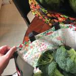 A bag full of fresh broccoli is seen in the authors kitchen in Anchorage, Alaska, in August 2020. (Photo by Victoria Petersen/Peninsula Clarion)