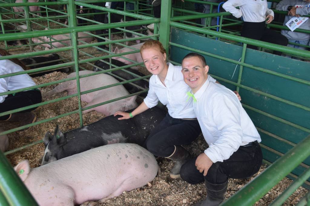 Bailey Epperheimer and Judah Johnston pose with Epperheimers pigs, Maui and Chancho, at the Kenai Peninsula Fair on Saturday, Aug. 17, 2019 at the fairgrounds in Ninilchik, Alaska. (Photo by Brian Mazurek/Peninsula Clarion)                                Bailey Epperheimer and Judah Johnston pose with Epperheimers pigs, Maui and Chancho, at the Kenai Peninsula Fair on Saturday, Aug. 17, 2019 at the fairgrounds in Ninilchik, Alaska. (Photo by Brian Mazurek/Peninsula Clarion)