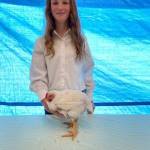 Mandy Miotke with the Homer 4-H Alls shows off her chicken that will be sold at the 2020 Kenai Peninsula 4-H Junior Market Livestock Auction in this undated photo. (Photo courtesy Cassy Rankin)