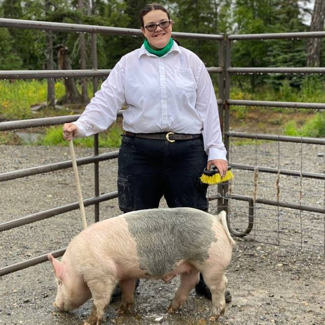 Gracie Rankin with the North Road Rangers shows off her pig that will be sold at the 2020 Kenai Peninsula 4-H Junior Market Livestock Auction in this undated photo. (Photo courtesy Cassy Rankin)