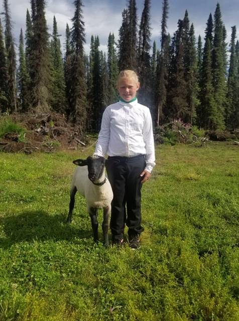 Skye Glessing of the Peninsula Pioneers 4-H chapter shows off her sheep that will be sold at the 2020 Kenai Peninsula 4-H Junior Market Livestock Auction in this undated photo. (Photo courtesy Cassy Rankin)