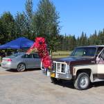 The family of 4-H member Addy Pederson decorated their truck in honor of Pedersons Blue Ribbon turkey, which was this years Community Service Animal. The money from the sale of Pedersons turkey went to Haven House in Homer, which provides services to victims of domestic violence and sexual assault. The truck is seen here during the 4-H Junior Market Drive-in Auction at the Soldotna Rodeo Grounds on Aug. 15, 2020. (Photo by Brian Mazurek/Peninsula Clarion)