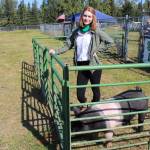 Destiny Martin and her pig, Outlaw, are seen here at the 4-H Junior Market Drive-in Auction at the Soldotna Rodeo Grounds on Aug. 15, 2020. (Photo by Brian Mazurek/Peninsula Clarion)