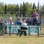 Ella Rankin shows her lamb as auctioneer Rayne Reynolds takes bids during the 4-H Junior Market Drive-in Auction at the Soldotna Rodeo Grounds on Aug. 15, 2020. (Photo by Brian Mazurek/Peninsula Clarion)