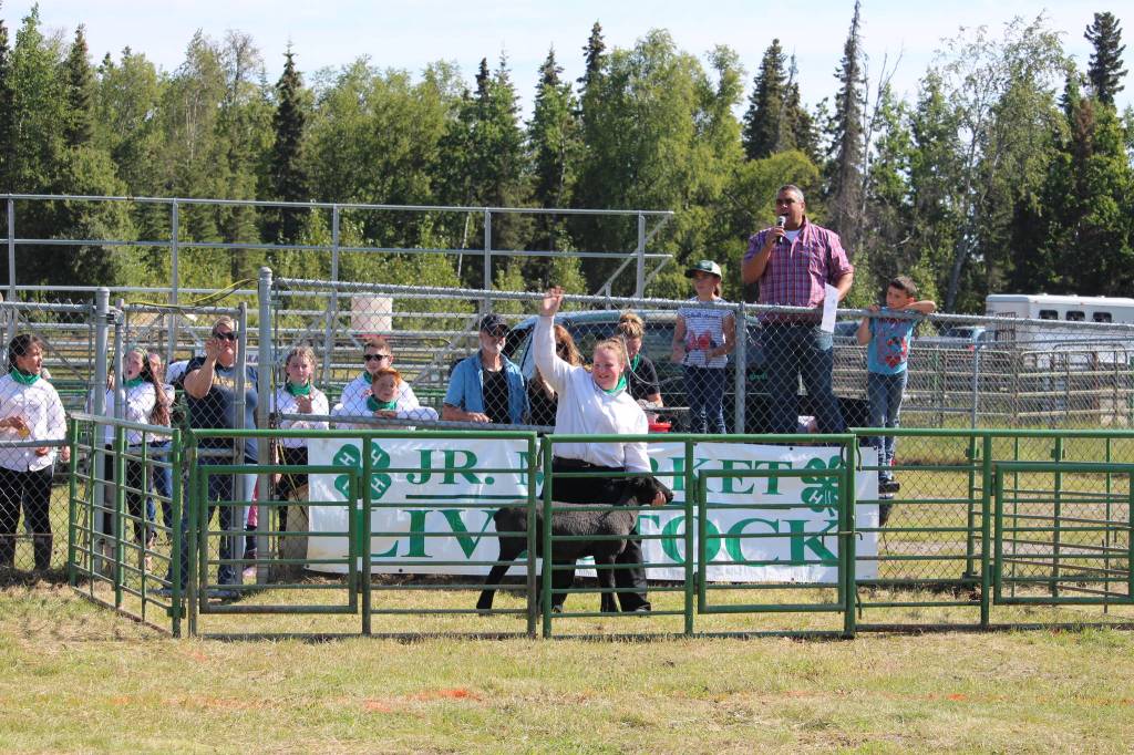 Ella Rankin shows her lamb as auctioneer Rayne Reynolds takes bids during the 4-H Junior Market Drive-in Auction at the Soldotna Rodeo Grounds on Aug. 15, 2020. (Photo by Brian Mazurek/Peninsula Clarion)