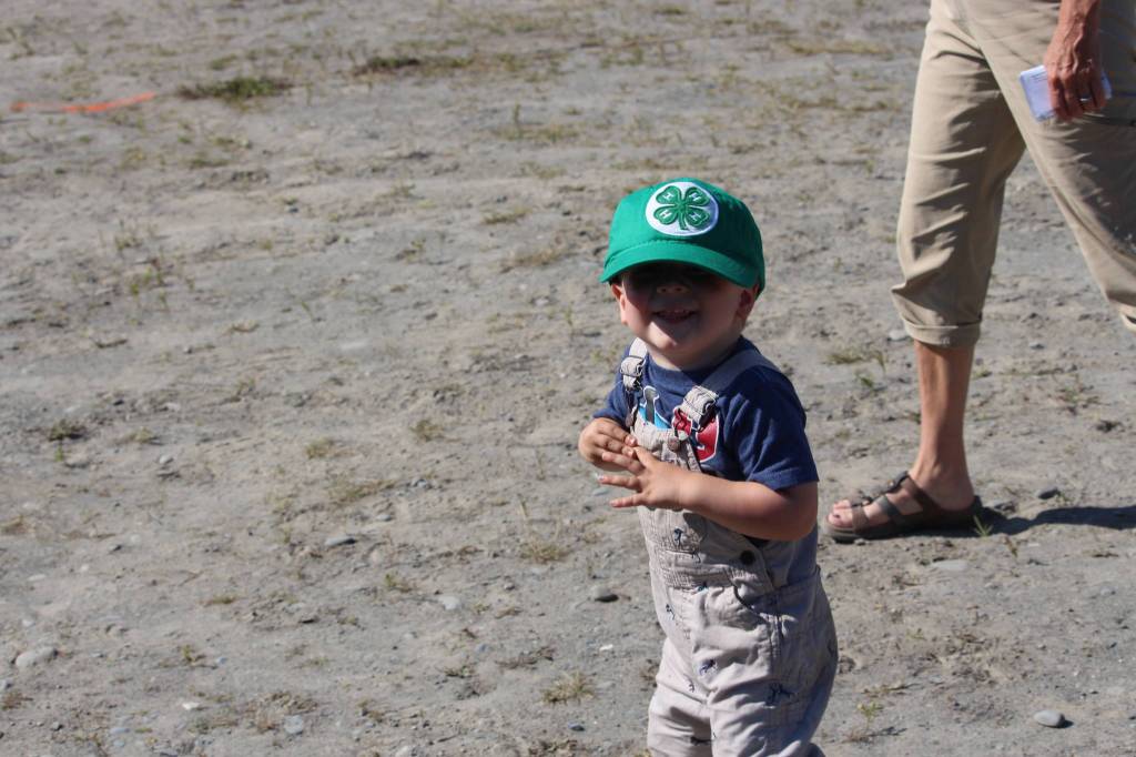 Cooper Calderwood shows off his new 4-H hat during the 4-H Junior Market Drive-in Auction at the Soldotna Rodeo Grounds on Aug. 15, 2020. (Photo by Brian Mazurek/Peninsula Clarion)