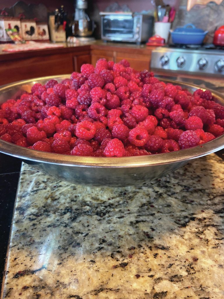 This bowl of fresh picked raspberries is an essential ingredient for a brown butter tart, as seen here in Teri Robls kitchen on Aug. 25, 2020, in Homer, Alaska. (Photo by Teri Robl)