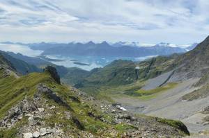 Tangled Up in Blue: Last looks