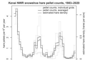 Refuge Notebook: Snowshoe hare population is on rise