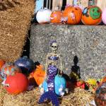 Some of the pumpkins submitted to the pumpkin decorating contest are seen here during the 5th annual Kenai Fall Pumpkin Festival in Kenai, Alaska on Oct. 10, 2020. (Photo by Brian Mazurek/Peninsula Clarion)
