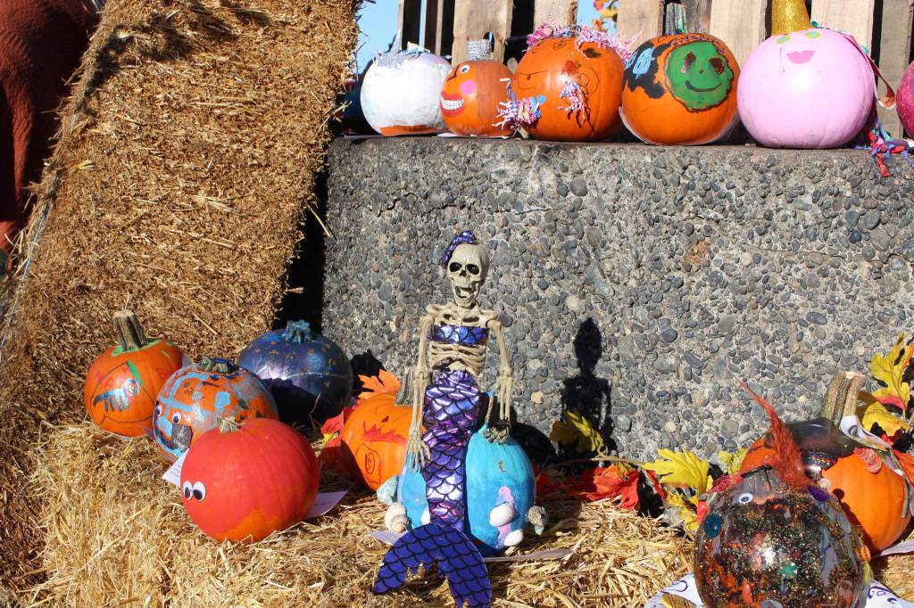 Some of the pumpkins submitted to the pumpkin decorating contest are seen here during the 5th annual Kenai Fall Pumpkin Festival in Kenai, Alaska on Oct. 10, 2020. (Photo by Brian Mazurek/Peninsula Clarion)