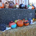 Some of the pumpkins submitted to the pumpkin decorating contest are seen here during the 5th annual Kenai Fall Pumpkin Festival in Kenai, Alaska on Oct. 10, 2020. (Photo by Brian Mazurek/Peninsula Clarion)