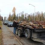 Volunteers haul dead wood that has been cleared from the Kenai Peninsula Peace Crane Garden Trail on Marydale Avenue in Soldotna, Alaska, on Oct. 17, 2020. (Photo by Brian Mazurek/Peninsula Clarion)