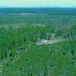 In 1964, two years after the Fairs moved to their homestead at the end of Forest Lane, Calvin Fair took this photo from neighbor Dan Frances SuperCub. Note the dearth of large trees in the foreground, where the 1947 Kenai Burn wiped out much of the hillside forest. (Courtesy Fair Family Collection.