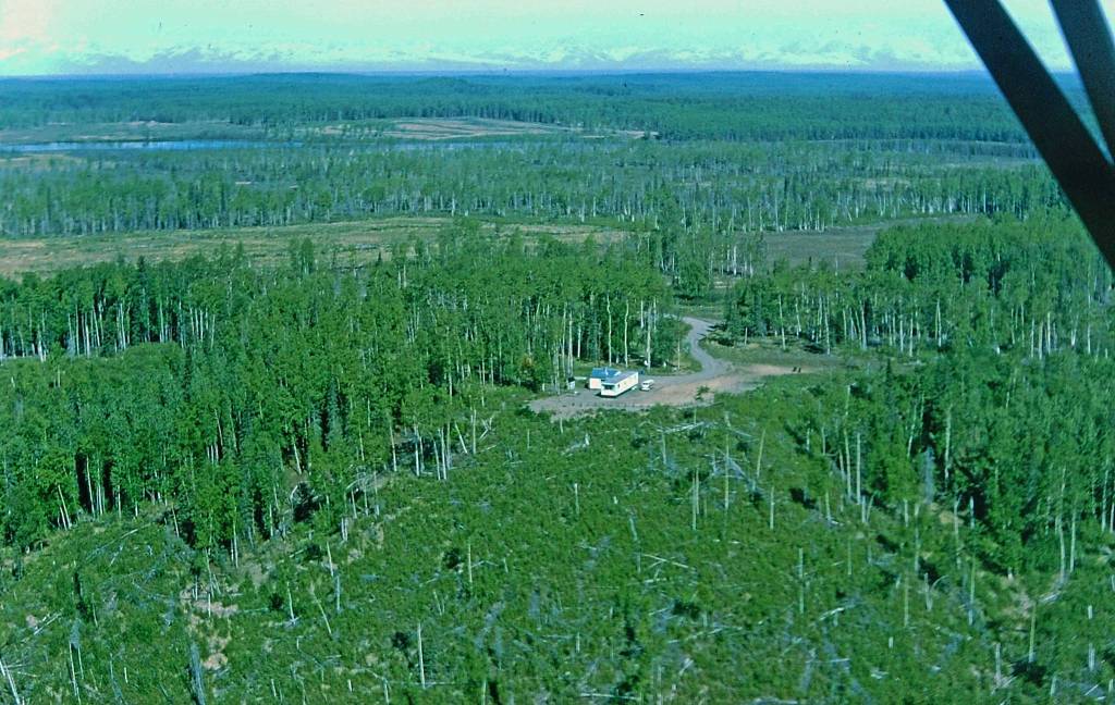 In 1964, two years after the Fairs moved to their homestead at the end of Forest Lane, Calvin Fair took this photo from neighbor Dan Frances SuperCub. Note the dearth of large trees in the foreground, where the 1947 Kenai Burn wiped out much of the hillside forest. (Courtesy Fair Family Collection.