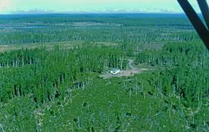 In 1964, two years after the Fairs moved to their homestead at the end of Forest Lane, Calvin Fair took this photo from neighbor Dan Frances SuperCub. Note the dearth of large trees in the foreground, where the 1947 Kenai Burn wiped out much of the hillside forest. (Courtesy Fair Family Collection.